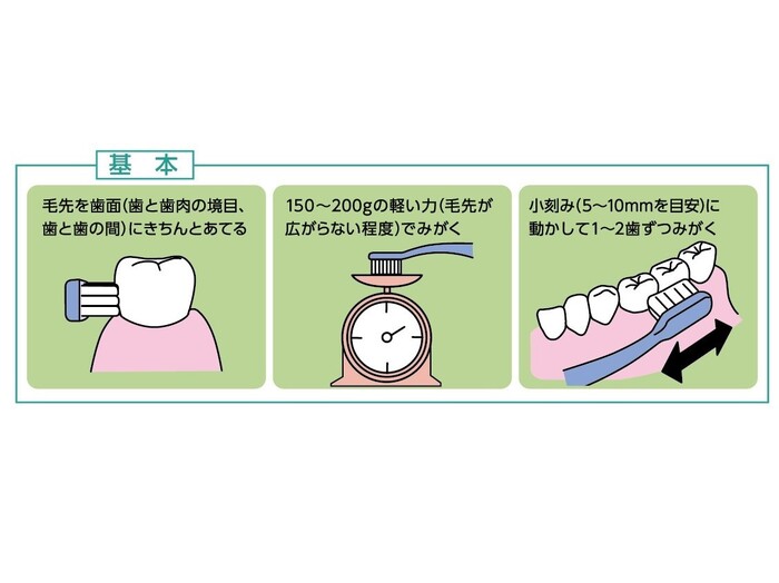 歯磨きの基本ルールはシンプル。慣れれば簡単!