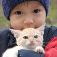 これはやってみたいにゃ〜!○○を満喫して心を癒すセラピー療法とは