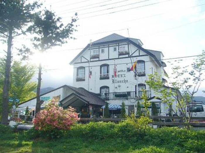 愛猫と行く温泉旅行