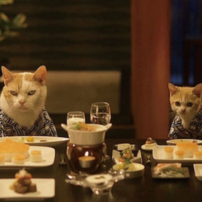 ペット同伴可の旅館&ホテル厳選!