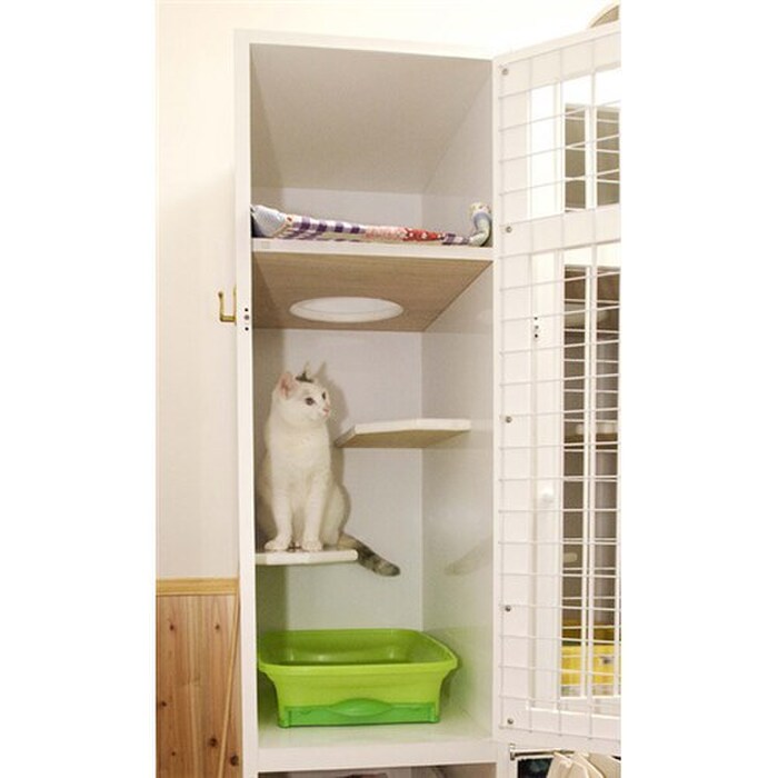 【良いペットホテルの選び方】預ける前にチェック