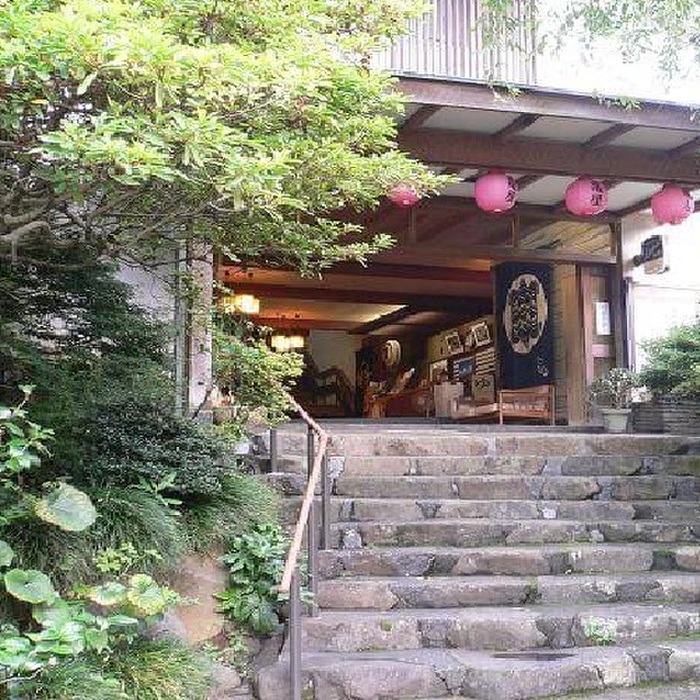 猫と一緒に泊まれるホテルおススメ5選