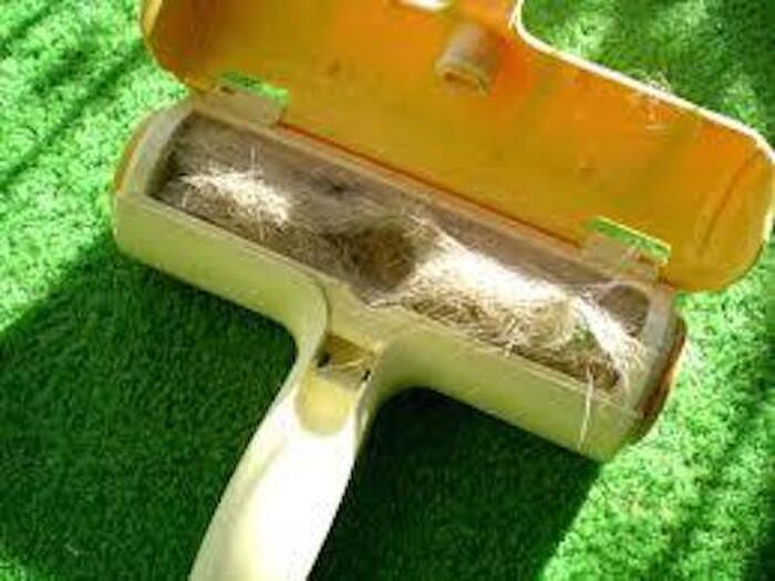 休日はペットの抜け毛の掃除をする 50%