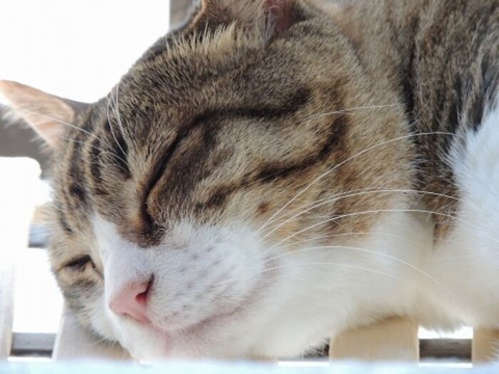 マッサージのツボポイントは?