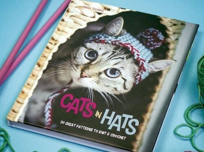 猫に帽子を編んであげよう♪