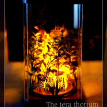 100均ディスプレイケースで作るテラリウム風ライト!