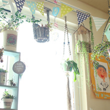 吊るすだけ!ハンギンググリーンでお洒落度UP☆