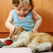 猫は子供に優しい?猫と赤ちゃんの不思議な関係とは