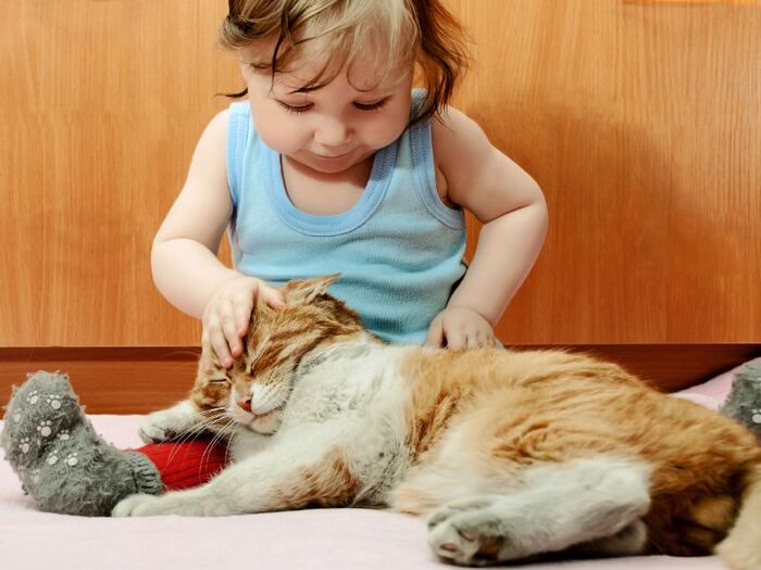 猫は子供に優しい?猫と赤ちゃんの不思議な関係とは