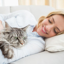 猫ブームの理由はモテるから?ネコノミクスの理由を検証してみた!