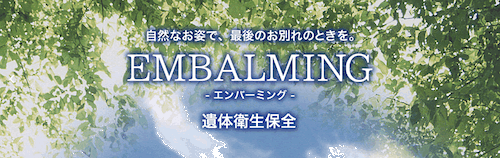 色んな資格を持っている壇蜜さん