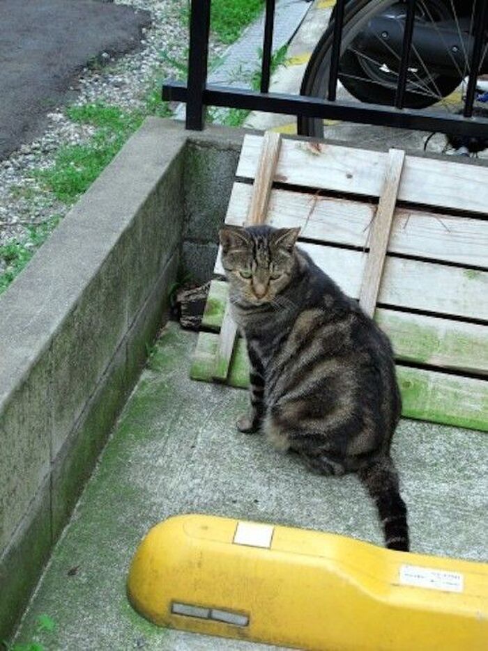 チェックポイント②逃げた場所50メートル周辺