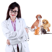 人にはうつりません!知っていれば安心【猫エイズ】の猫の飼い方(前編)