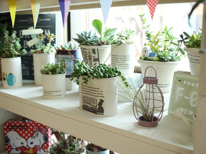 リメ缶、リメ鉢もペイントし直し