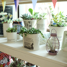 ペイントで明るく変身!我が家の室内植物コーナー