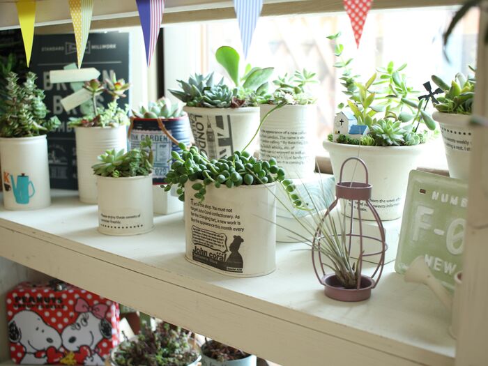 ペイントで明るく変身!我が家の室内植物コーナー