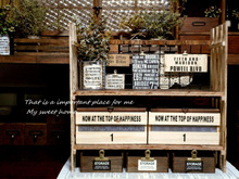 ALL100均で収納棚、スッキリ片付く魅せる収納!