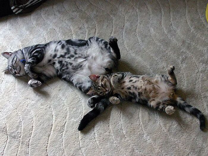 模様で区別しよう