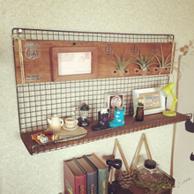 100均の焼き網をカッコいいエアープランツホルダーつきの棚に⭐︎