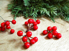 紙ねんどでリアルかわいい赤い実を簡単手作り♪✨