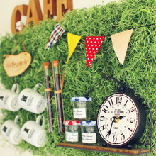 BBQ網をリメイク!絡めるだけの壁面緑化運動♡