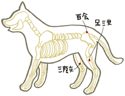 ☆覚えておきたいツボ②百会(ひゃくえ)