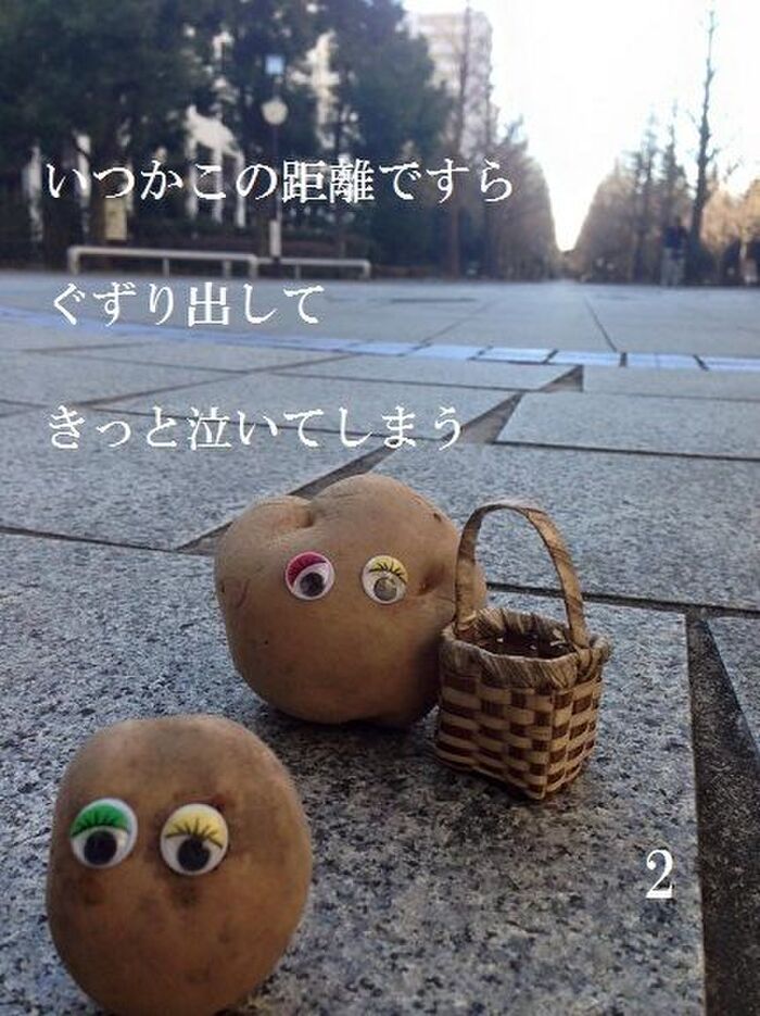 この写真について♪