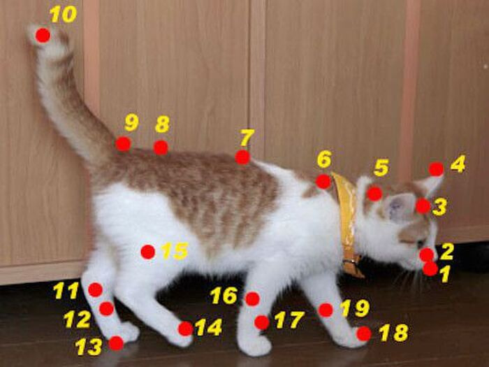 ☆覚えておきたいツボ③太谿(たいけい)