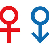 ママたちは、生まれ変わったら男女どっちがいいと思ってる?