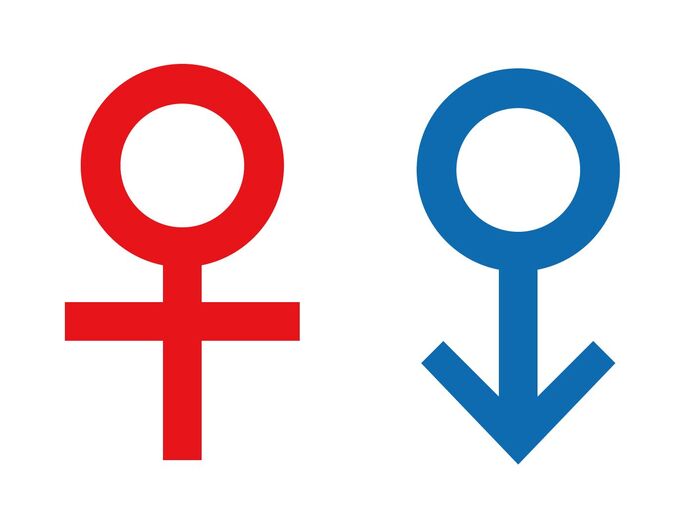 ママたちは、生まれ変わったら男女どっちがいいと思ってる?