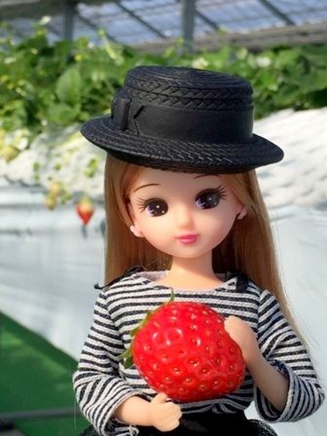 甘いいちごで幸せ満喫♪那須高原農園「いちごの森」