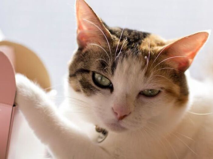 (2)成果を見せたい!