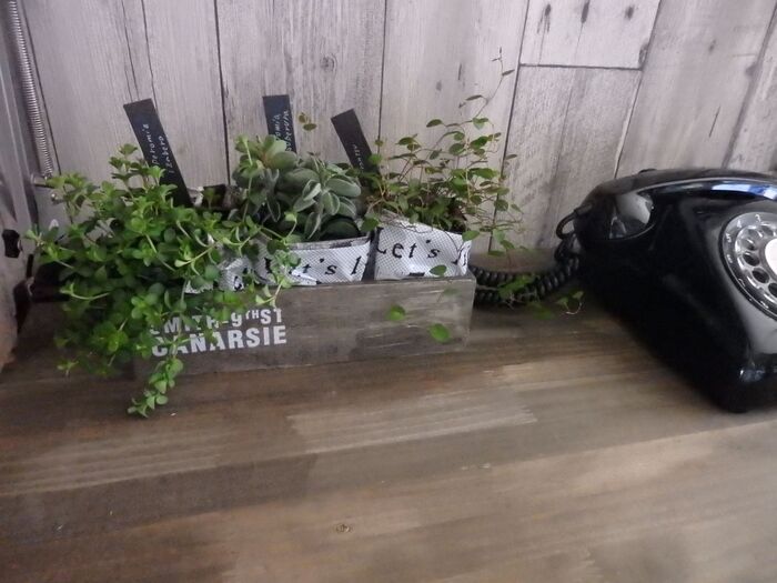 ボックスはセリア!