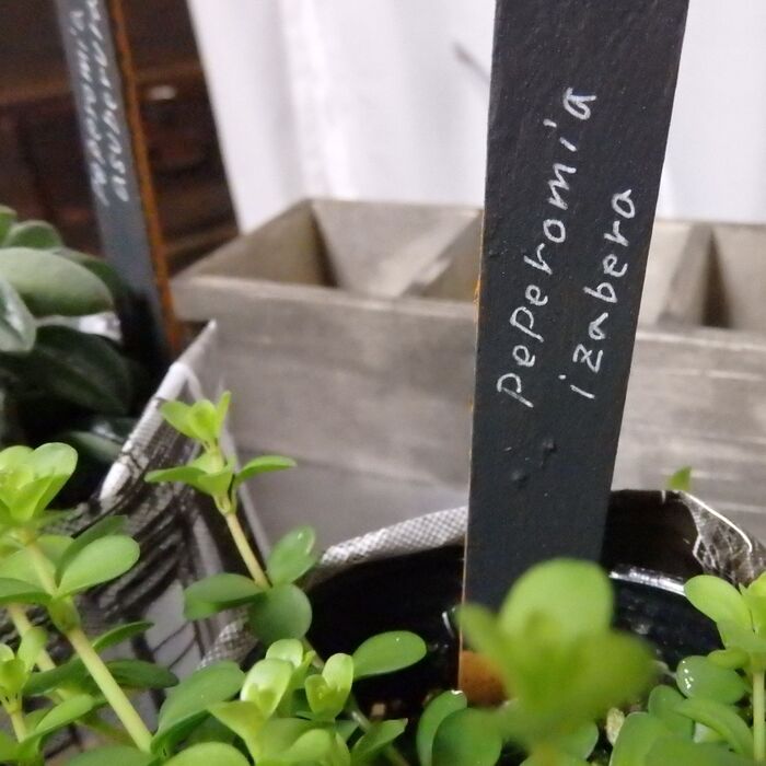 手書きでピックを作ります。