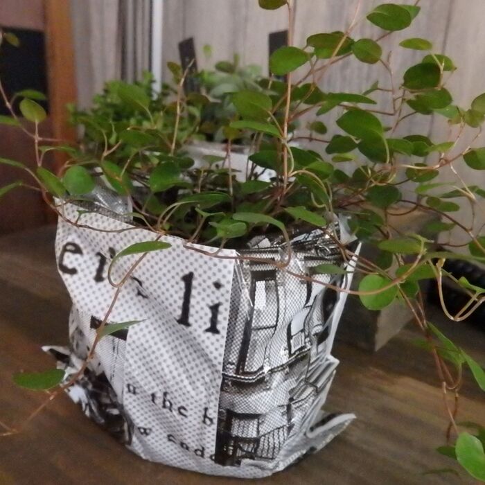 グリーンカバーはダイソーのラッピングの袋!