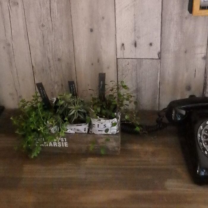 木箱にすっぽり入ります!