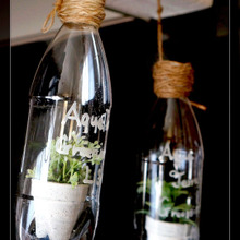 ペットボトルで!材料費0円のテラリウム☆