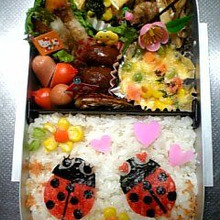 春ウキウキ弁当