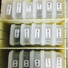 一度に使い切れない食材は、冷凍ストックで無駄知らず