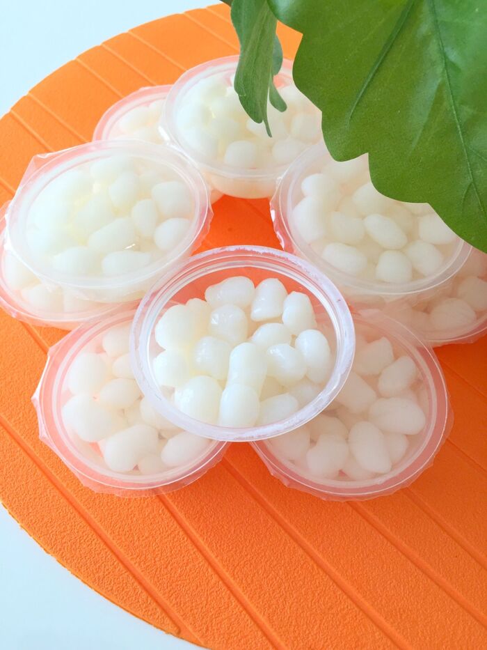 こんにゃくの実を使って、デザート作り〜♪♪