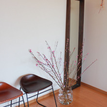 1分でできる! ステキで春らしいインテリア!