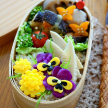 心と体に優しい✿春色弁当