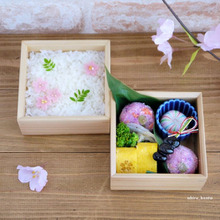 桜色*満開弁当