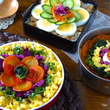 ビジュアル丼!春の行楽にもピッタリ!丼弁当でお手軽レシピ