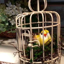 100均商品で小鳥を飼って?みました❤️