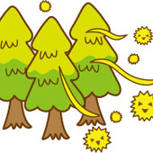 家の中の花粉対策