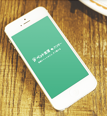 ペットに関する悩みを飼い主同士で相談できるQ&Aアプリ『ペット生活アンサー』に注目!