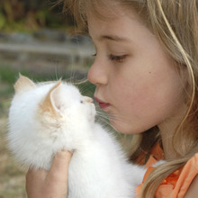 猫の魅力はモフモフ♡猫の触り心地の良さは○○○が原因だった!