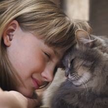 猫を飼ったら5000円・ペット同伴出社OK!なんとも羨ましい会社3選