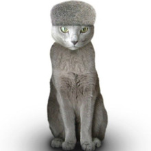 猫の毛玉を集めよう!こんなに面白いアイディアがあった☆
